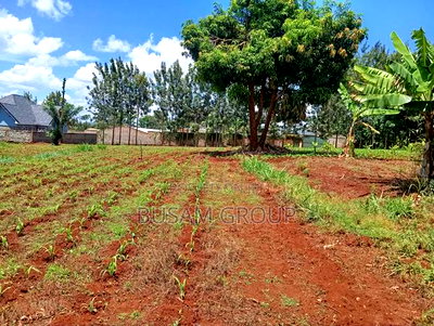 1/8th Acre for Sale at Muranga - Image 4