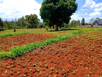 1/8th Acre for Sale at Muranga - Image 8