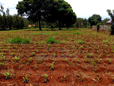 1/8th Acre for Sale at Muranga - Image 3