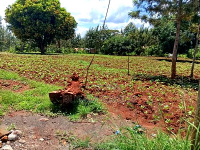 1/8th Acre for Sale at Muranga - Image 2