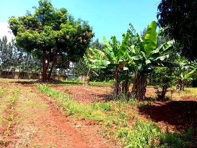 1/8th Acre for Sale at Muranga - Image 7