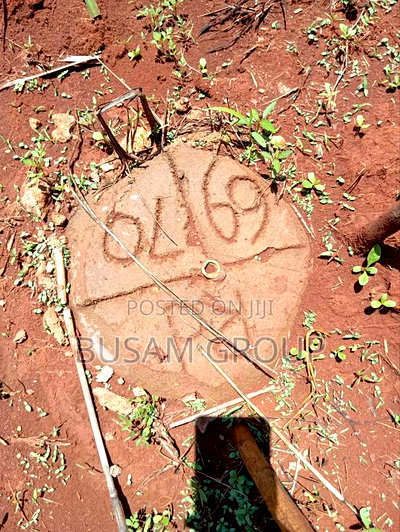 1/8th Acre for Sale at Muranga - Image 11