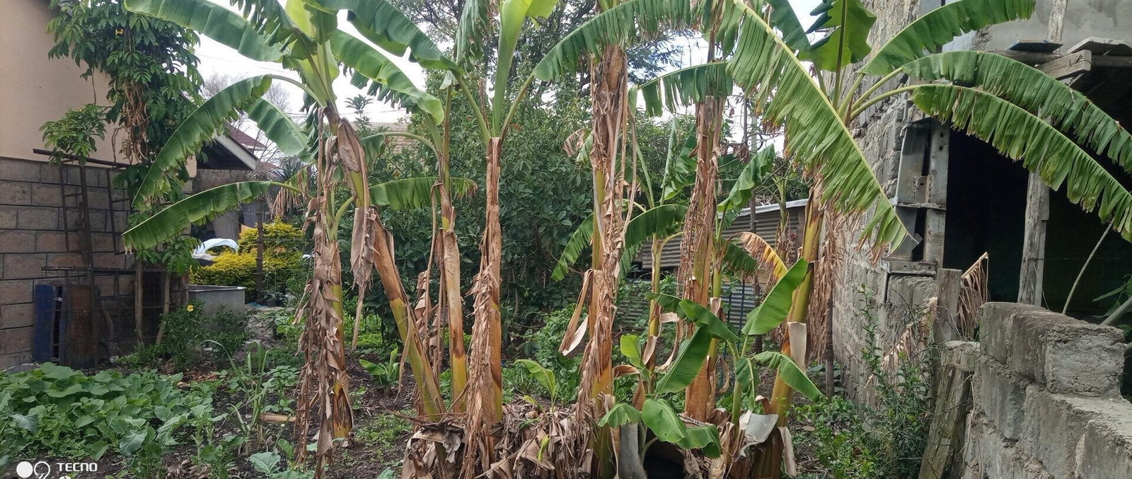 KSh 11M Garden Plot with Parking