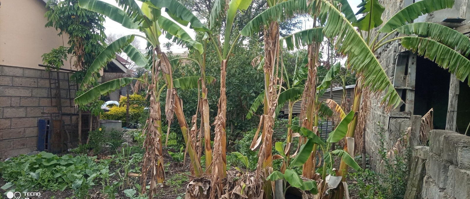 KSh 11M Garden Plot with Parking