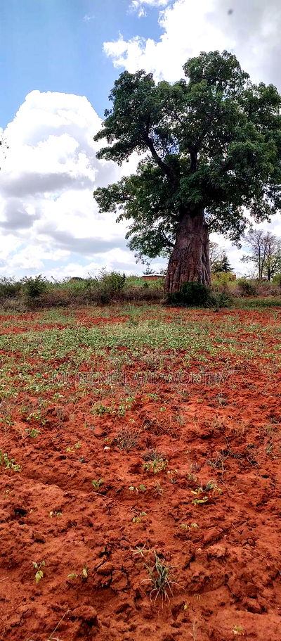 Embu County,Gatete 11 Acres Agricultural Farmland - Image 5