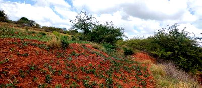 Embu County,Gatete 11 Acres Agricultural Farmland - Image 18