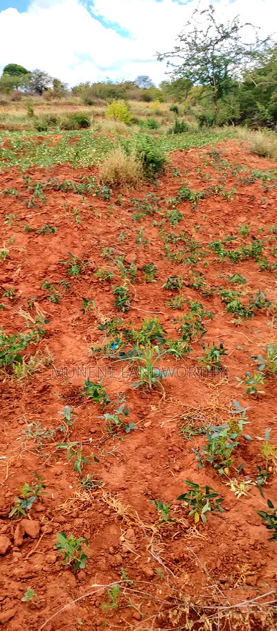 Embu County,Gatete 11 Acres Agricultural Farmland - Image 16