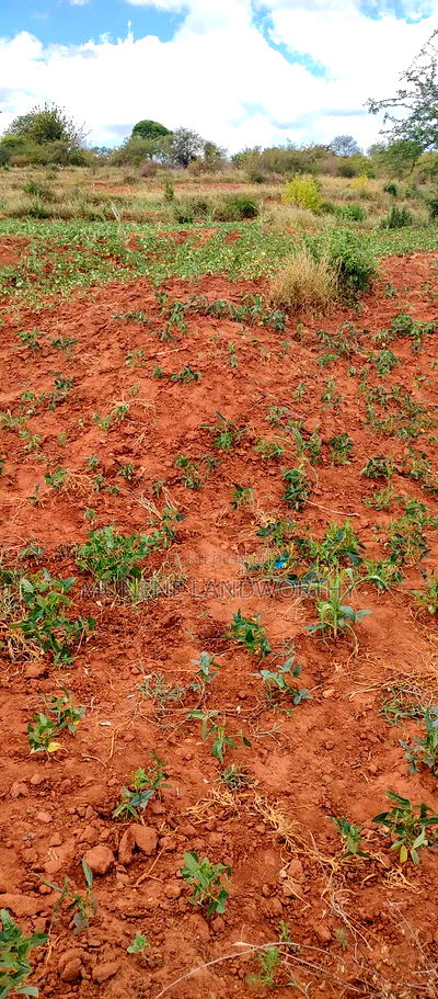 Embu County,Gatete 11 Acres Agricultural Farmland - Image 15
