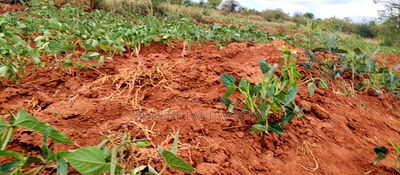 Embu County,Gatete 11 Acres Agricultural Farmland - Image 2