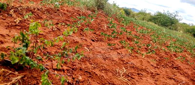 Embu County,Gatete 11 Acres Agricultural Farmland - Image 13