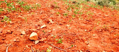 Embu County,Gatete 11 Acres Agricultural Farmland - Image 4