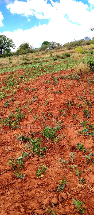 Embu County,Gatete 11 Acres Agricultural Farmland - Image 14