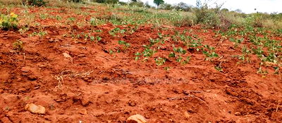 Embu County,Gatete 11 Acres Agricultural Farmland - Image 9