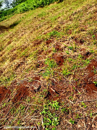 Migaa Golf Estate 1/4 Acre on Quick Sale - Image 6