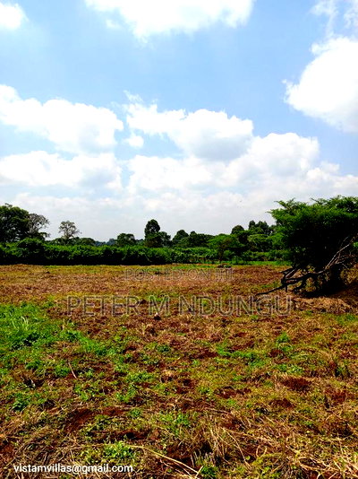 Migaa Golf Estate 1/4 Acre on Quick Sale - Image 2