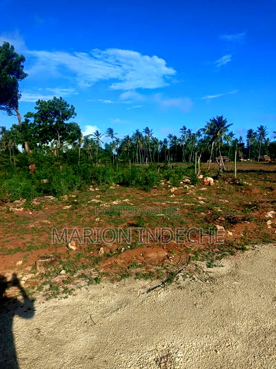 Own Prime 50*100 Plots for Sale in Kilifi - Image 3