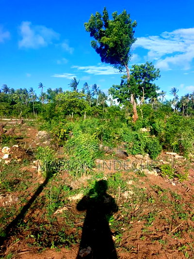 Own Prime 50*100 Plots for Sale in Kilifi - Image 10