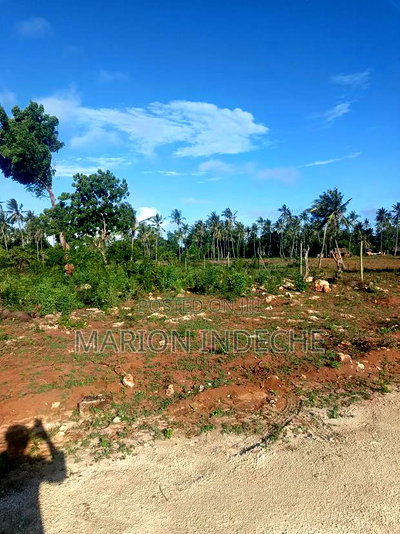 Own Prime 50*100 Plots for Sale in Kilifi - Image 2