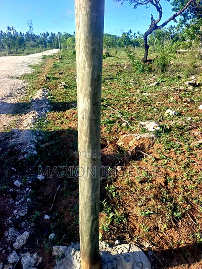 Own Prime 50*100 Plots for Sale in Kilifi - Image 5
