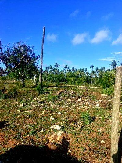 Own Prime 50*100 Plots for Sale in Kilifi - Image 4