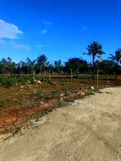 Own Prime 50*100 Plots for Sale in Kilifi - Image 1