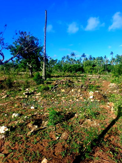 Own Prime 50*100 Plots for Sale in Kilifi - Image 8