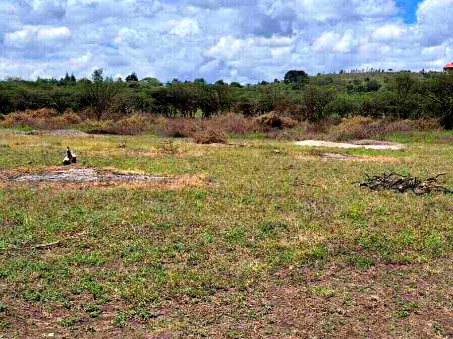 3-Acre Land in Kajiado CBD for KSh 42M