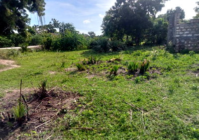 Half Acre Garden Plot with Parking