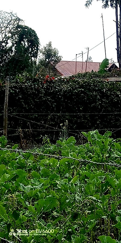 Half an Acre in Kiserian - Image 1