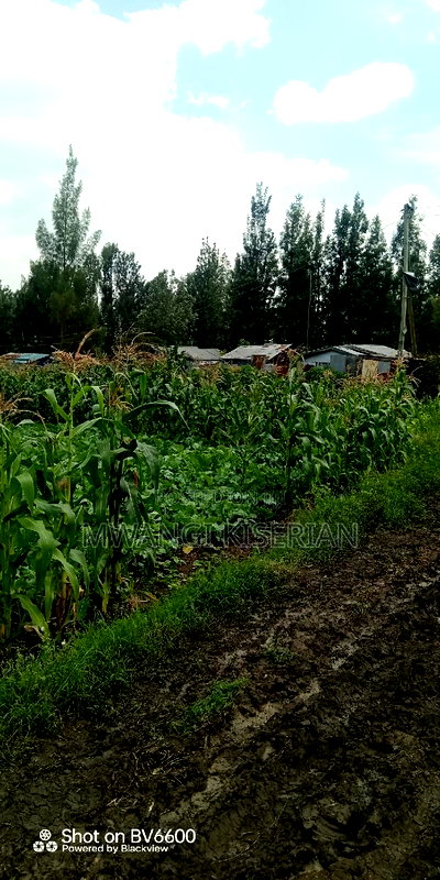 Half an Acre in Kiserian - Image 7