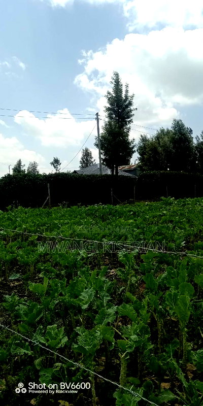 Half an Acre in Kiserian - Image 5