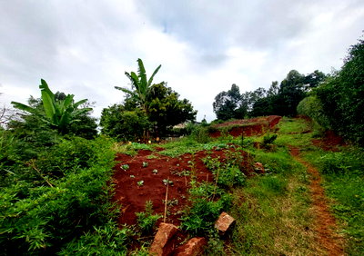 Half-Acre Flat Plot with Red Soil & Ready Utilities – Runda