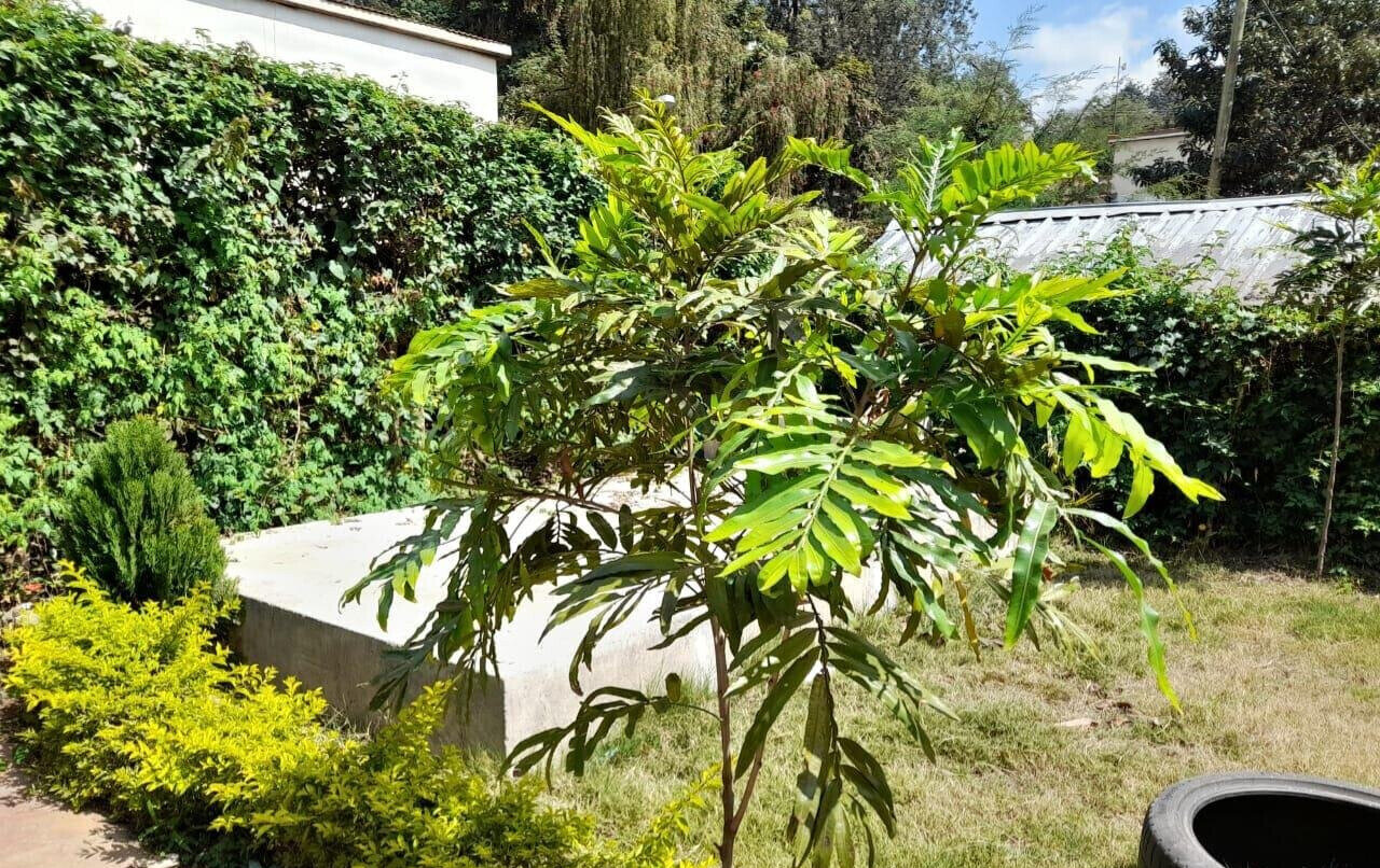 4BR Townhouse with DSQ & Front/Back Garden - Kilimani