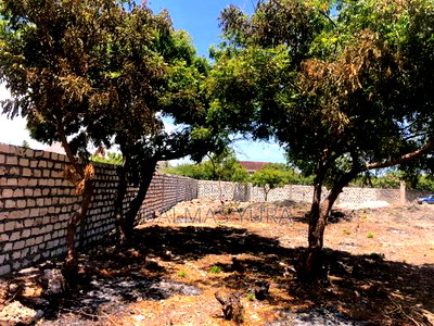 Prime Plot in Watamu - Image 5