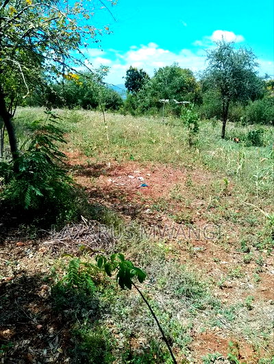 One Acre of Home for Sale at Nthingini Mwea Embu. - Image 7