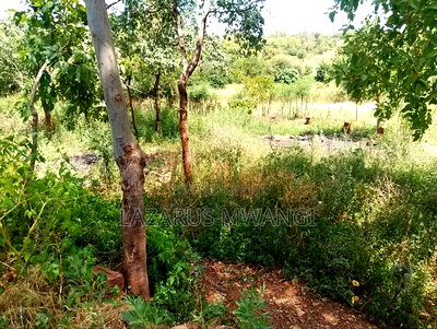One Acre of Home for Sale at Nthingini Mwea Embu. - Image 8