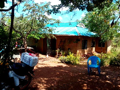 One Acre of Home for Sale at Nthingini Mwea Embu. - Image 2