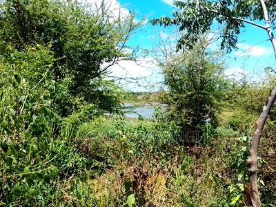 One Acre of Home for Sale at Nthingini Mwea Embu. - Image 4