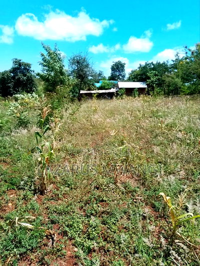One Acre of Home for Sale at Nthingini Mwea Embu. - Image 5