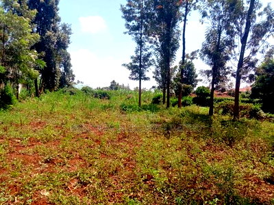 100 by 100 Plot for Sale at Kiamumbi - Image 9