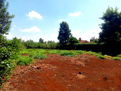 100 by 100 Plot for Sale at Kiamumbi - Image 7