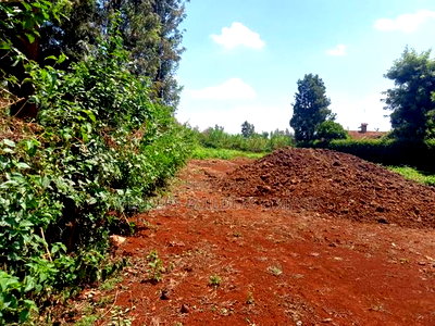 100 by 100 Plot for Sale at Kiamumbi - Image 6