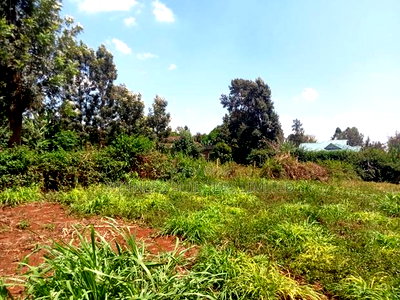 100 by 100 Plot for Sale at Kiamumbi - Image 5