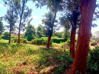 100 by 100 Plot for Sale at Kiamumbi - Image 8