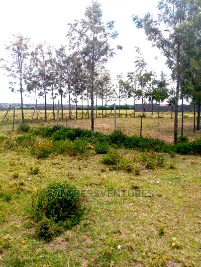 Prime Plot in Kiungururia,Nakuru - Image 2