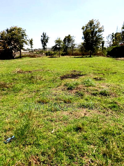 Quarter Acre Kerarapon - Image 2