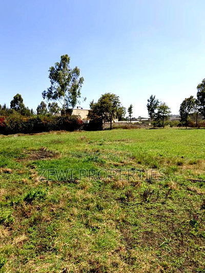 Quarter Acre Kerarapon - Image 3