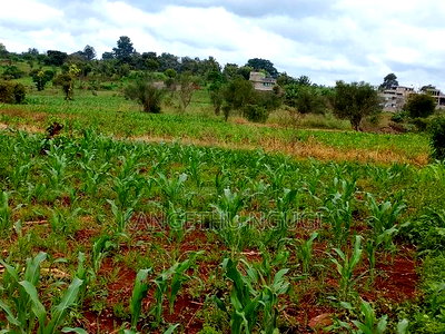 Two Plots Matropi Estate Kiambu - Image 1