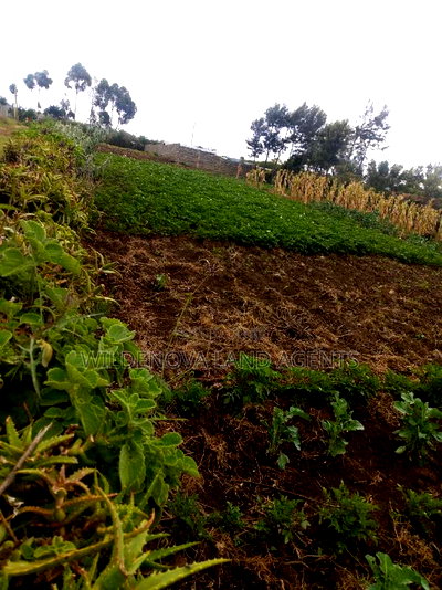 50*100 Plot on Sale at Naivasha Kinungi - Image 2