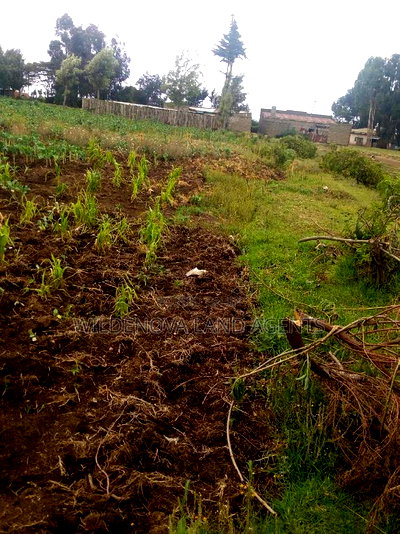 50*100 Plot on Sale at Naivasha Kinungi - Image 5